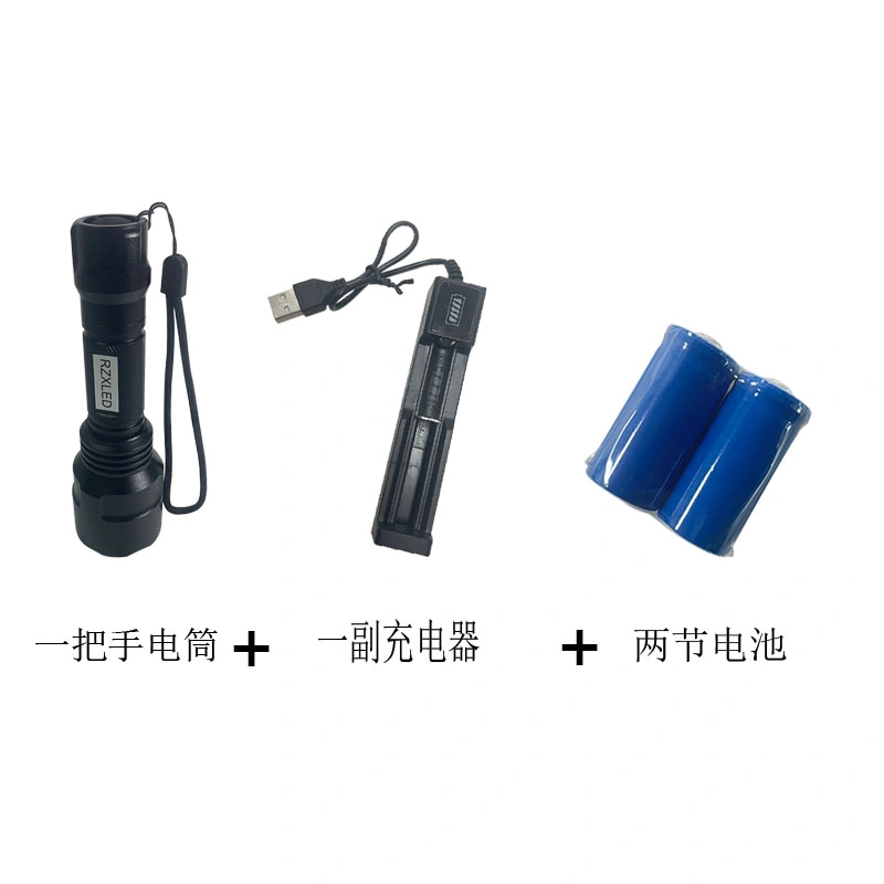 High Power 250nm 254nm 300nm Deep UVC UVB LED Flashlight 3W LED Torch for Disinfection