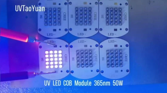 50W UV COB 청색 LED 칩 455